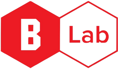 Brick Lab