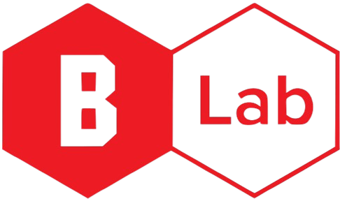 Brick Lab
